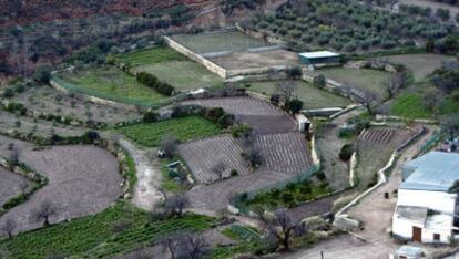 Una vista de cultivos cercados por balates en Níjar (Almería).