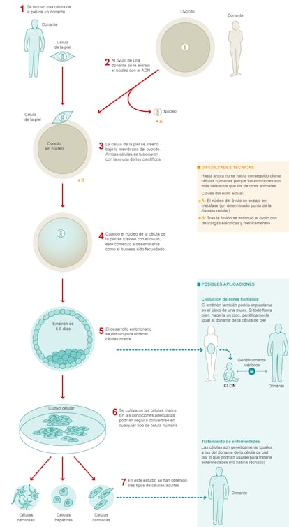 Fuentes: Oregon Health & Science University y elaboracin propia.