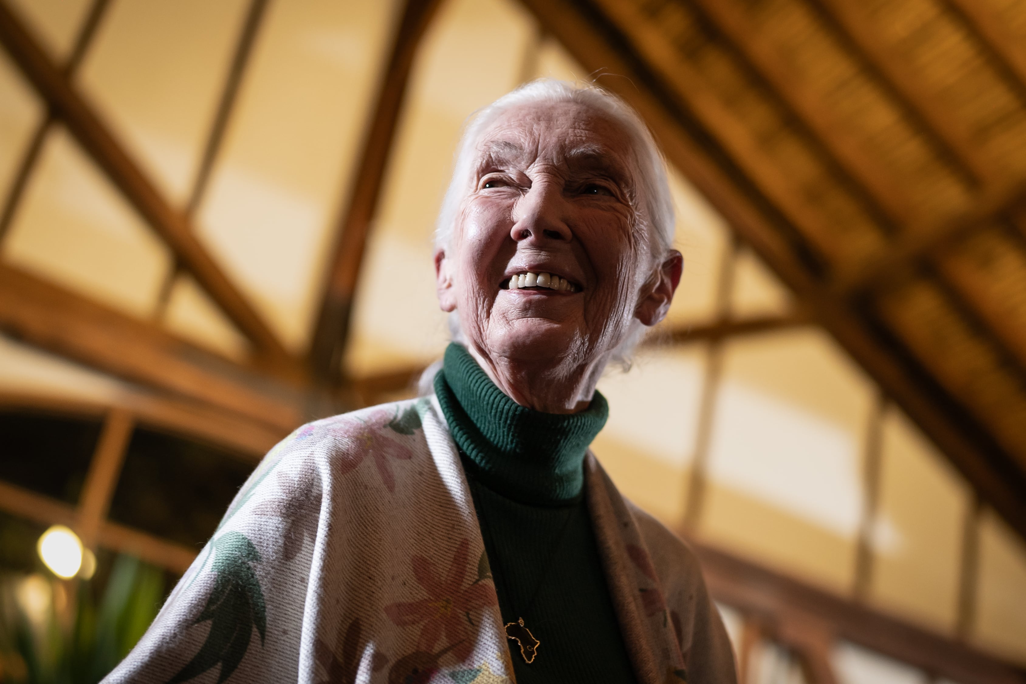 La etóloga Jane Goodall, en Medellín (Colombia), el 21 de agosto de 2024.