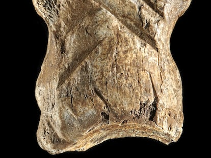La falange de ciervo, de unos cinco centímetros de largo, con el grabado en forma de galones.