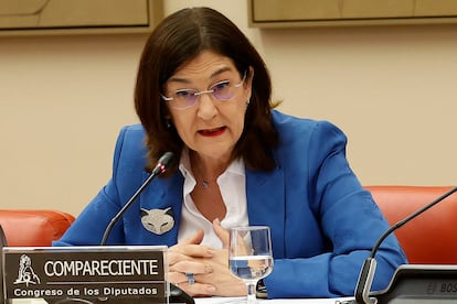 La presidenta de la Comisión Nacional del Mercado de la Competencia (CNMC), Cani Fernández, comparece este martes en el Congreso de los Diputados.