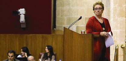 La exconsejera Carmen Martínez Aguayo, en el Parlamento en 2013.