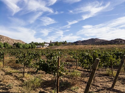 Zona vinícola del Valle de Guadalupe, en Ensenada, Estado de Baja California.