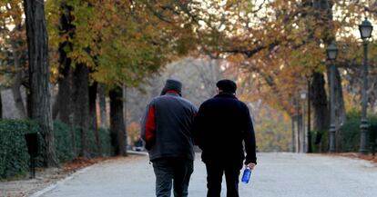 Una pareja de jubilados en el Parque del Retiro en Madrid.