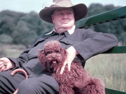 Winston Churchill en su finca de Chartwell en 1950. 