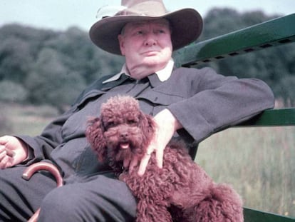 Winston Churchill en su finca de Chartwell en 1950.