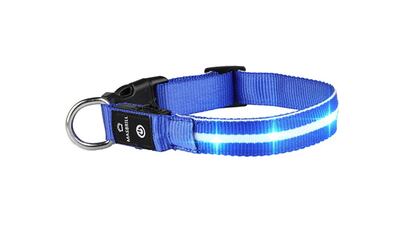 Collar para perros con luz LED, varios colores