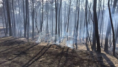 L&#039;incendi a Sant Feliu de Sasserra, en una imatge de Twitter.