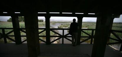 Observatorio en el itinerario ornitol&oacute;gico del Fondo.