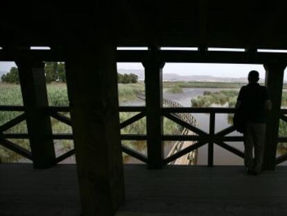 Observatorio en el itinerario ornitológico del Fondo.