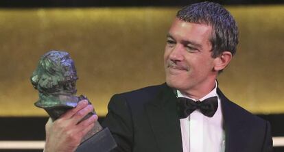 Antonio Banderas rep el Goya d'Honor.