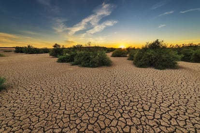 Durante la grave sequía en La Guajira, Colombia, un 10% de la población emigró a otros lugares.