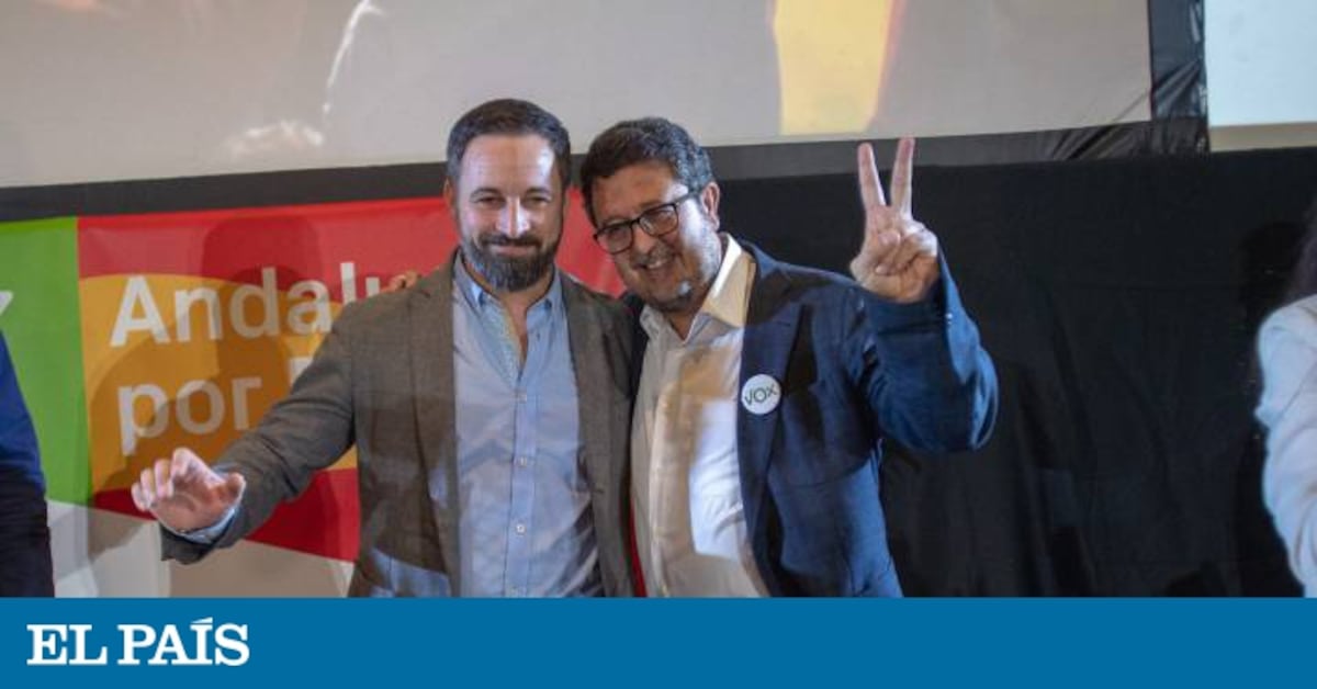 Derogar la ley de violencia de género y otros planes de Vox contra las ...