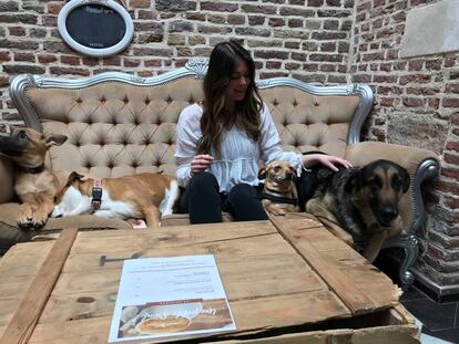 Le Waf es el primer café de perros de la ciudad de Lille (norte de Francia)