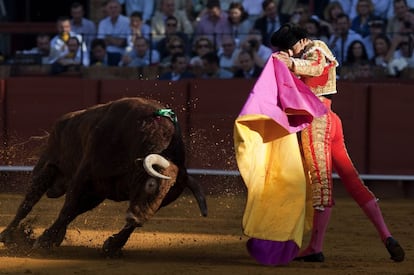 Miguel Ángel Perera, toreando con la capa a su primer toro en la Maestranza.