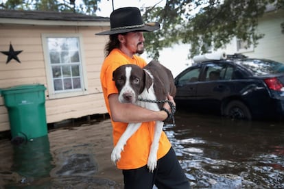 Un residente, cuyo hogar se encuentra inundado, porta en brazos a su perro hasta un lugar seguro, en Orange, Texas.