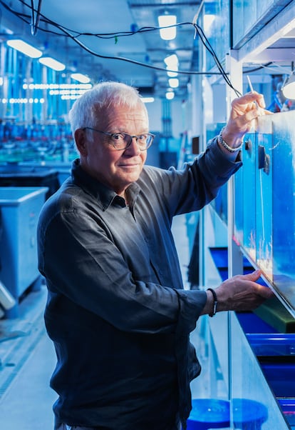 Josep Maria Gili, del Institut de Ciències (ICM)-CSIC, en un acuario de Barcelona. 