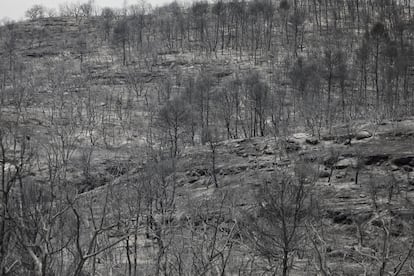 Incendio forestal en la Zona de Artesa de Segre. En la imagen la zona quemada en los alrededores de Baldomar.