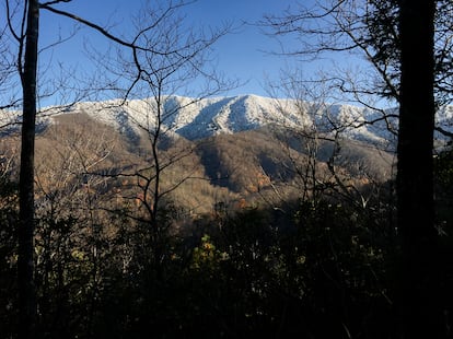 View of the Appalachian Mountains.