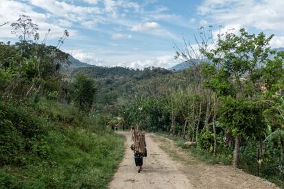 Un niño cargado de leña camina por una vereda de Chilón, en Chiapas, México. Este municipio es tristemente célebre por aportar el mayor número de personas con hambre en México. Con la llegada de la pandemia y las consiguientes crisis sanitaria y económica, la pobreza ha aumentado y la inseguridad alimentaria también es mayor.