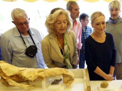 Cristina Cifuentes, acompa&ntilde;ada de otros visitantes, asiste a las explicaciones del paleont&oacute;logo Juan Luis Arsuaga en Pinilla del Valle. 