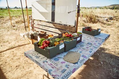 Así preparan Alejandro y Alfonso Escobar las cestas de frutas y verduras que luego MensOs se encarga de repartir.