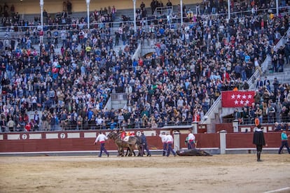 Emoción en Las Ventas. Vuelta al ruedo al toro 'Viscoso', de El Torero, el 1 de abril de 2018.