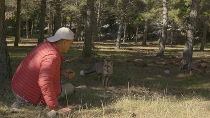 Wild Frank. El legado de Félix, emitido en DMAX