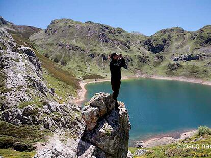 Somiedo: donde igual se te cruza una nutria que un oso