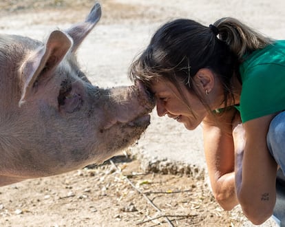 Laura Luengo con uno de los cerdos del santuario.