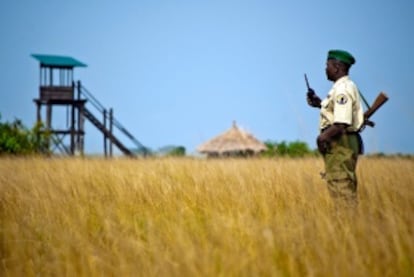 130 agentes forestales han muerto en el Parque Nacional de Virunga desde 1996.