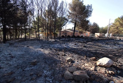 Durante la noche, el fuego ha llegado a rodear algunos núcleos de viviendas e infraestructuras deportivas.