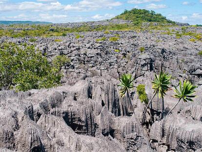 Lugares que visitar antes de hacerte viejo: Madagascar