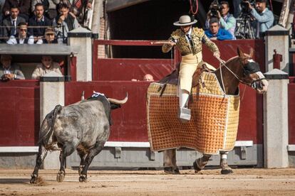 'Asturdero', toro de Saltillo lidiado el pasado 4 de junio en Madrid.