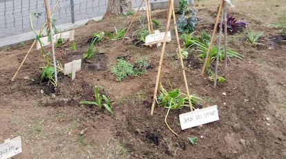 Antes de primavera alguien decidió poner fin a ese acto de resistencia, la reja volvió a amurallar la tierra y la tela dejó de cubrir el árbol