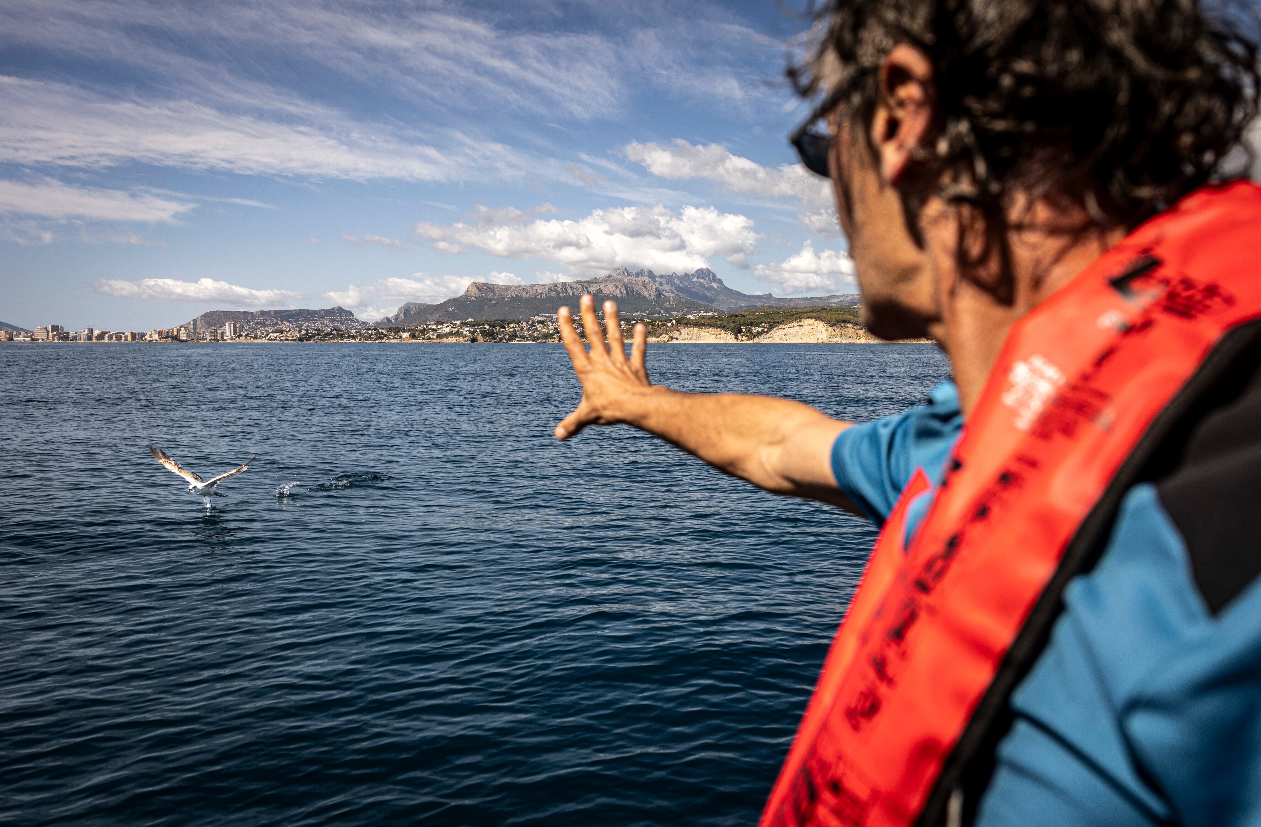 El agente medioambiental Mariano Bermejo observa una gaviota. Junto a Carlos Pascual, forman el equipo de agentes que se encarga de los espacios marinos de toda la Comunidad Valenciana.