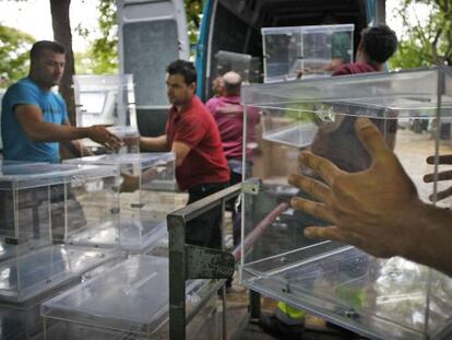 Un examen de los resultados de los comicios europeos