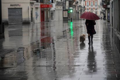 Una mujer pasea un perro por la calle Preciados. / LUIS DE VEGA