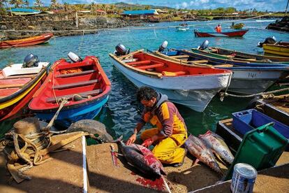 El atún es la principal especie comercial. Los pescadores lo trocean en los embarcaderos.