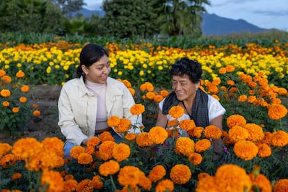 SOLO SE PUEDE USAR PARA EL TEMA DE AMÉRICA FUTURA DE LA MUERTEADA FEMENIL.