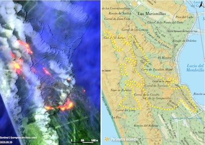 The Junta de Andalucía asks for more help from the Government to extinguish the Doñana fire that already affects 400 hectares | News from Andalusia