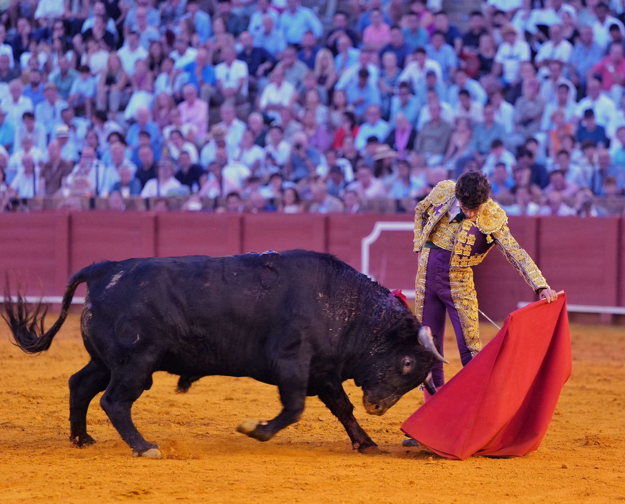 Novillada de lujo, novillada de vergüenza (en Sevilla)