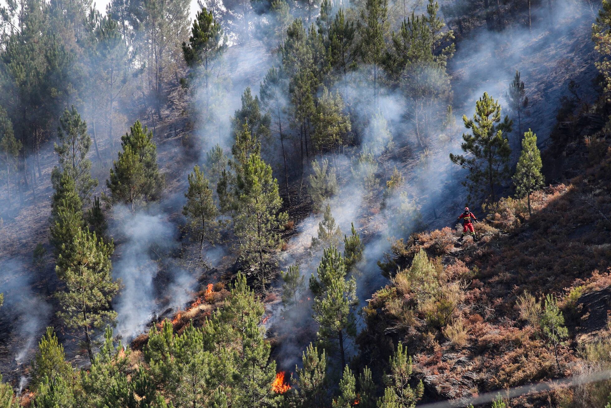 La ola de incendios en España: las zonas más afectadas, en imágenes ...