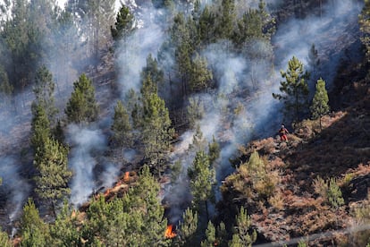 Humo procedente del fuego en la parroquia de Bendollo (Ourense), este martes.