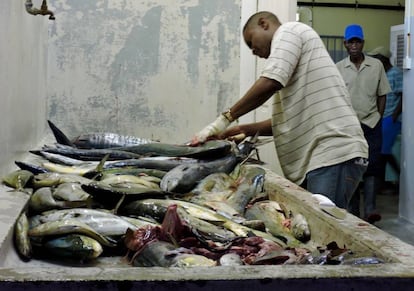 Un grupo de pescadores despieza las capturas del día en un local de la costa Este de Barbados.