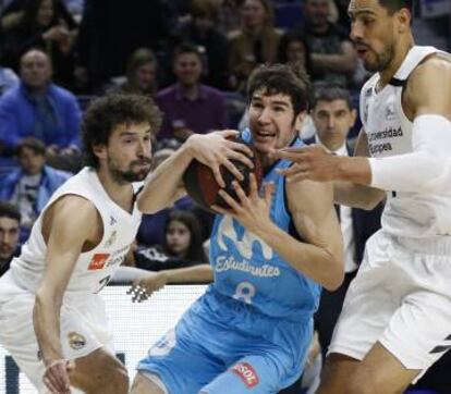 Brizuela, ante Llull y Ayón en el último derbi