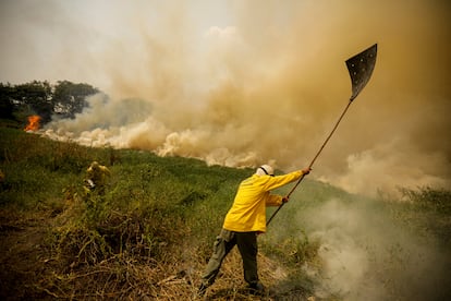 Agentes del ICMBio (Instituto Chico Mendes para la Conservación de la Biodiversidad) intentan extinguir un fuego en del Pantanal en Proto Jofre (Estado de Matto Grosso), el 16 de noviembre.
