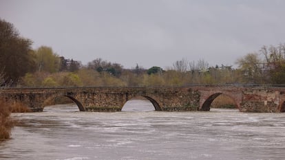 Vista de la crecida del río Tajo a su paso por en Talavera de la Reina (Toledo) este martes.