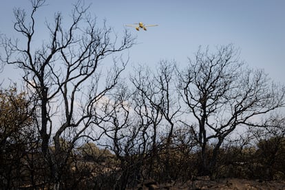 Un hidroavión en la zona del incendio de Torrefeta i Florejacs (Lleida), este miércoles.