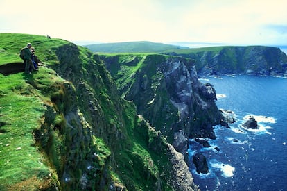 Las comunidades de aves marinas de las Shetland son las más llamativas de Escocia. Desde su llegada a finales de primavera hasta sus frenéticos festines en pleno verano, las enormes colonias de alcatraces, araos aliblancos, frailecillos y gaviotas tridáctilas de Hermaness, Noss y el cabo Sumburgh ofrecen una de las mejores experiencias ornitológicas. Las Shetland, parada de especies migratorias del Ártico, están declaradas geoparque por la Unesco y tienen un aspecto desalentador a primera vista, por eso son tan escocesas: colinas empinadas, lagos de aguas celestes y ovejas en las carreteras. Hay reservas y refugios naturales para la observación (rspb.org.uk).